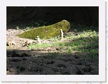 Dierentuin Burgers  Zoo 001 * 3648 x 2736 * (5.7MB)